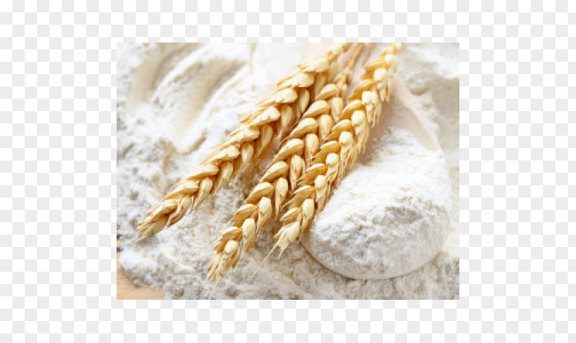 Flour Atta Common Wheat Food PNG