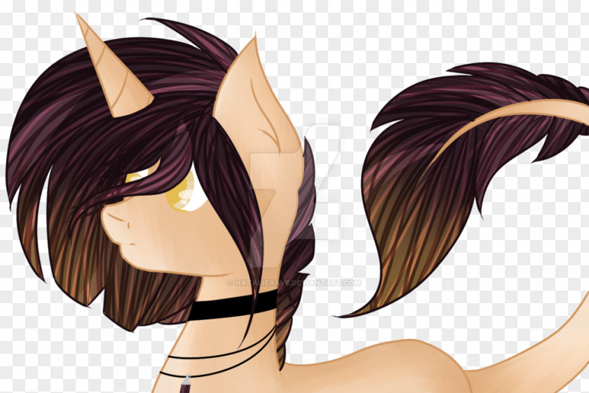 Horse Long Hair Coloring Black PNG