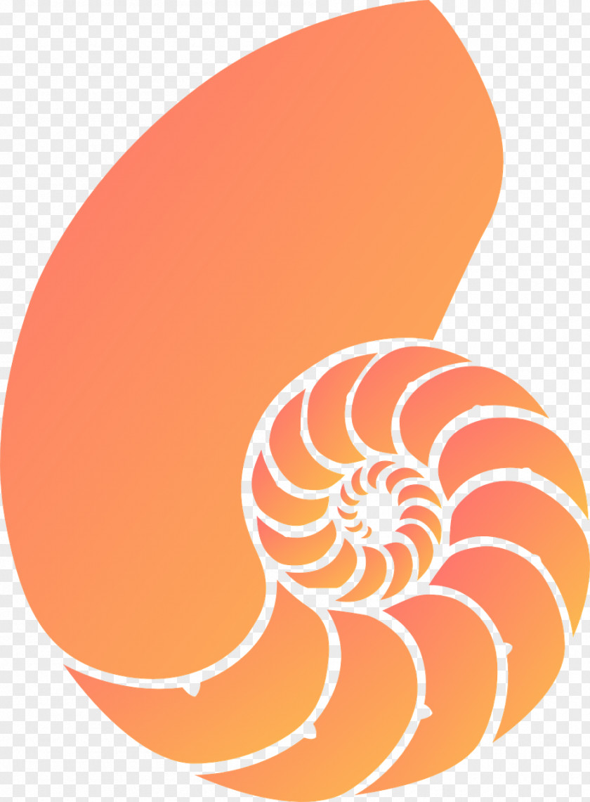 Seahorse Seashell Nautilidae Coral Clip Art PNG