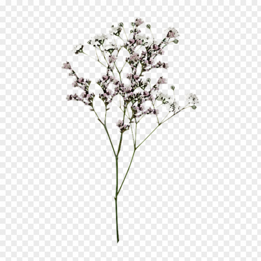 Tree Branch Woody Plant Flower Leaf PNG