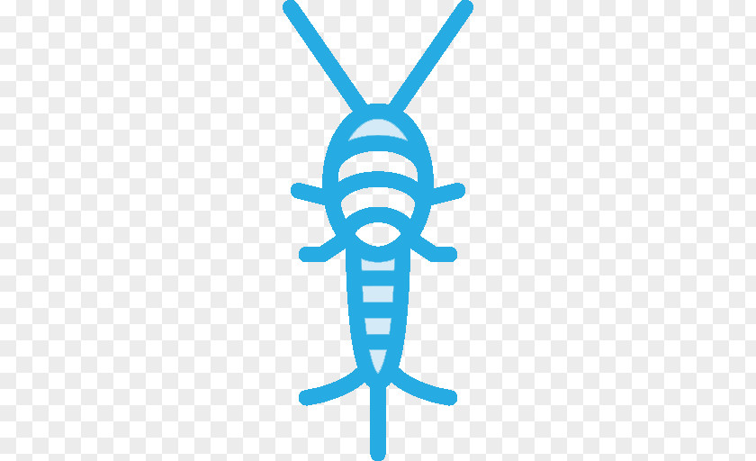 White Spider Are They Poisonous Insect Silverfish Pest Control PNG