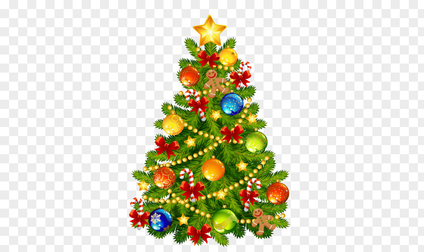 Christmas Tree Day Vector Graphics Image Stock Photography PNG
