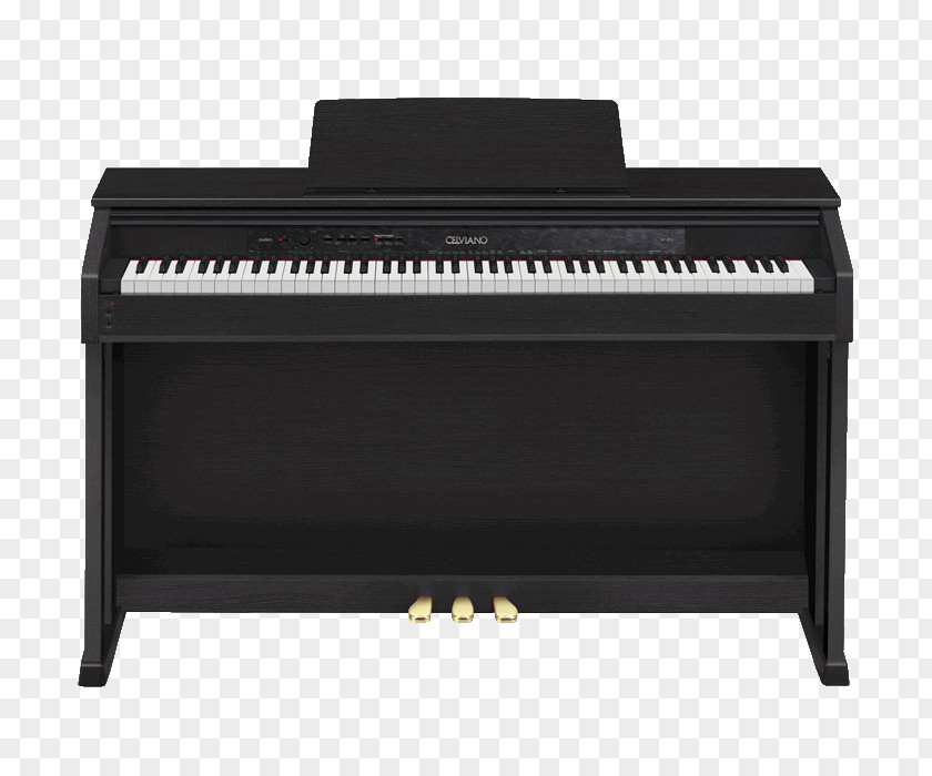 Electronic Musical Instruments Digital Piano Casio Keyboard PNG
