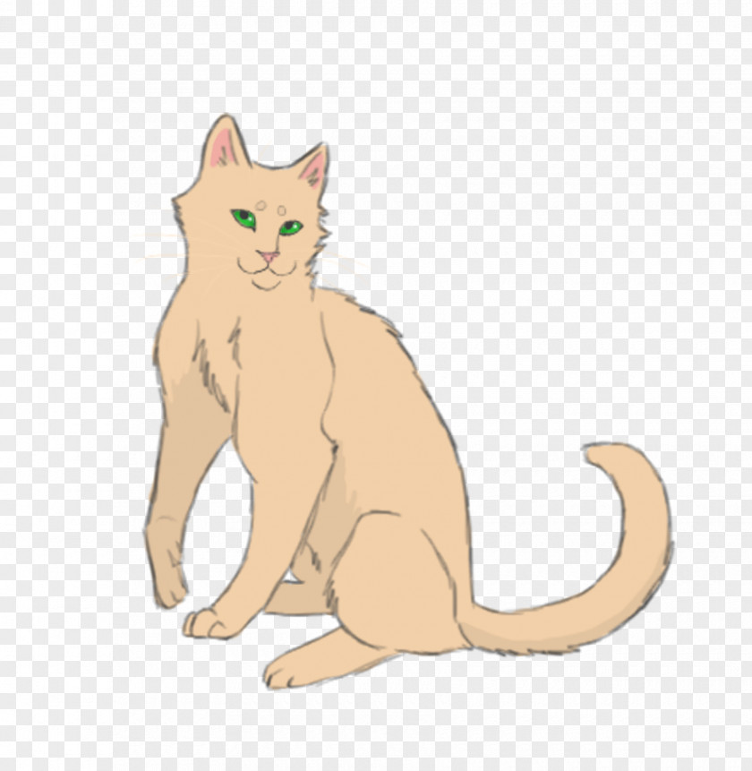 Kitten Whiskers Warriors Domestic Short-haired Cat PNG