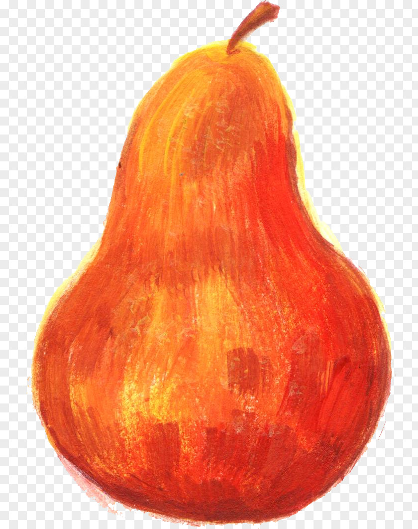 Pear Calabaza Cucurbita PNG