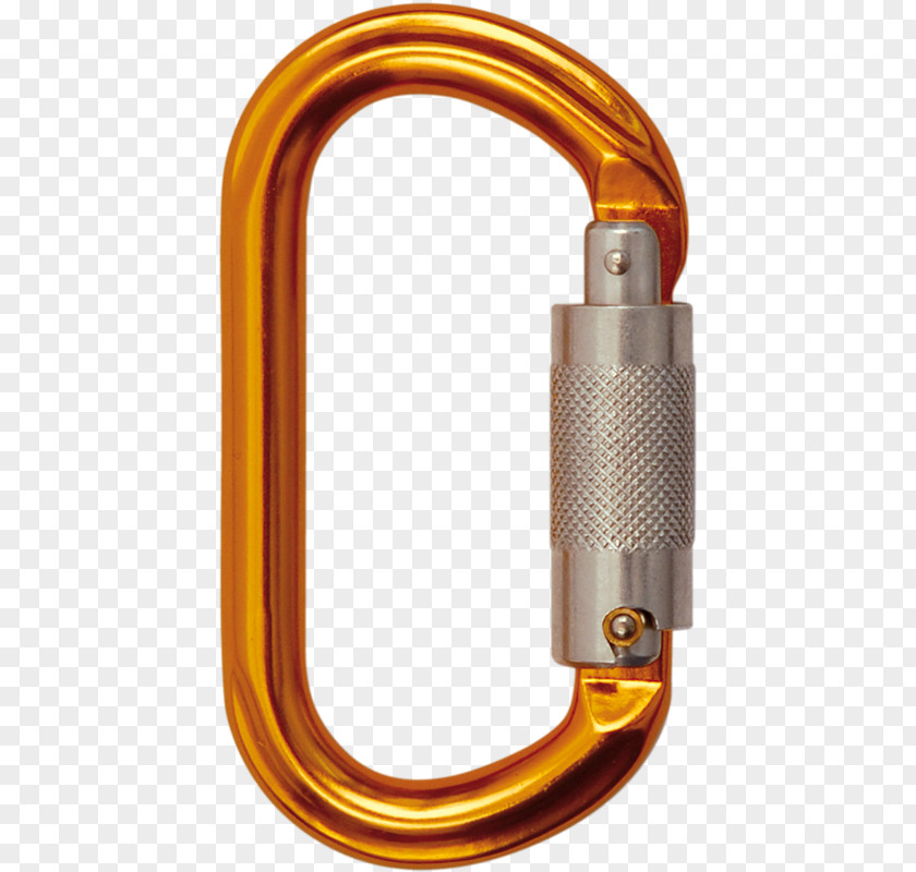 Rope Carabiner Karabinkrog 21mm Skylotec FS Sky Holding HALTESEIL RP 5 Ergogrip Work Safety Tethers PNG