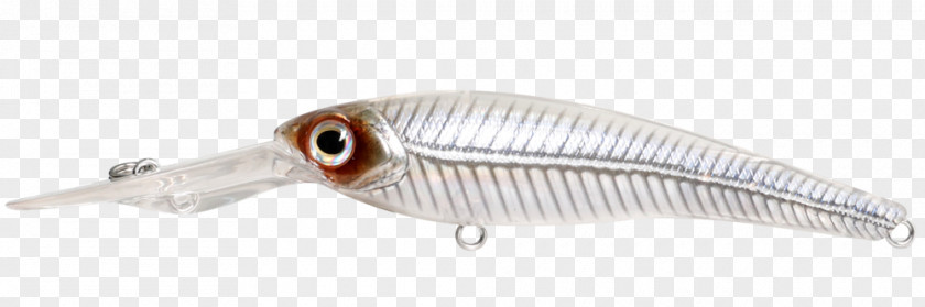 Fish Fishing Bait PNG