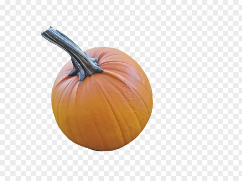 Food Winter Squash Pumpkin PNG