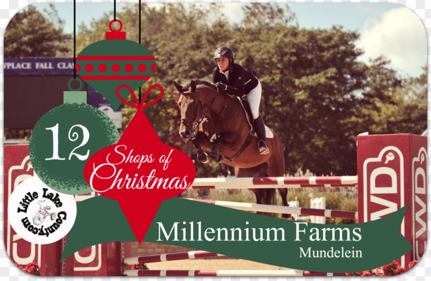 Horse Advertising Christmas Brand PNG