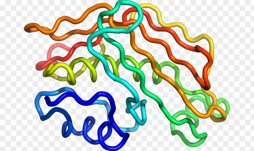 Line Organism Clip Art PNG