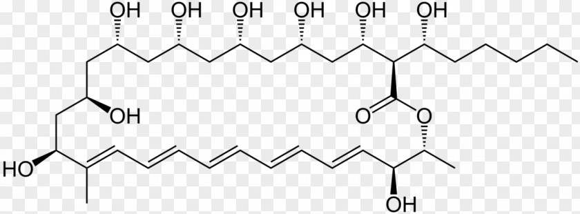 Macrolide Filipin Niemann–Pick Disease, Type C Lysosomal Storage Disease Antifungal PNG