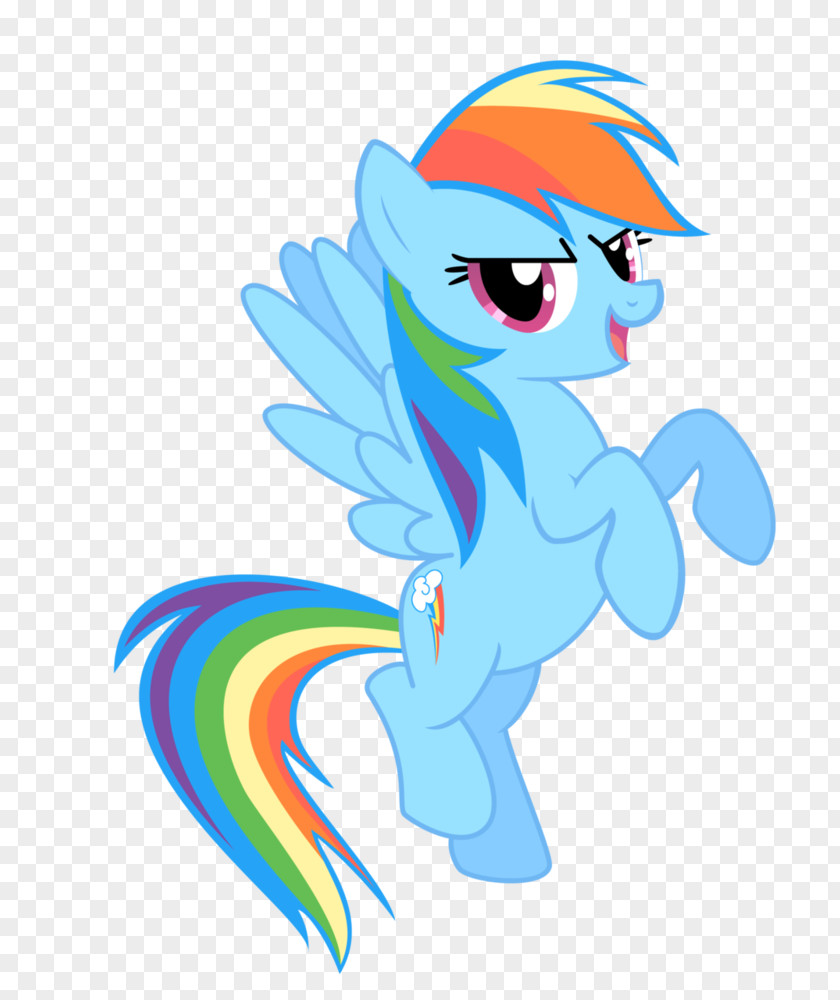 My Little Pony Rainbow Dash Rarity Pinkie Pie Applejack PNG