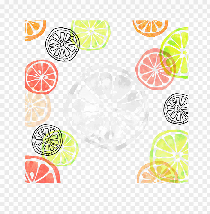 Oranges Grapefruit Cartoon Hand Painted Background Euclidean Vector Clip Art PNG