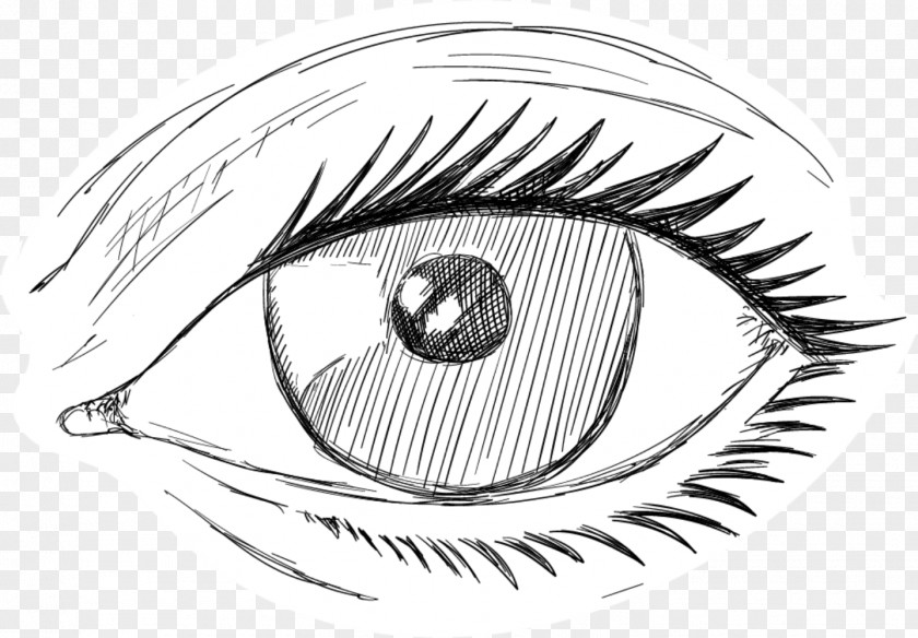 Sketch Eyes Iris Eyebrow PNG