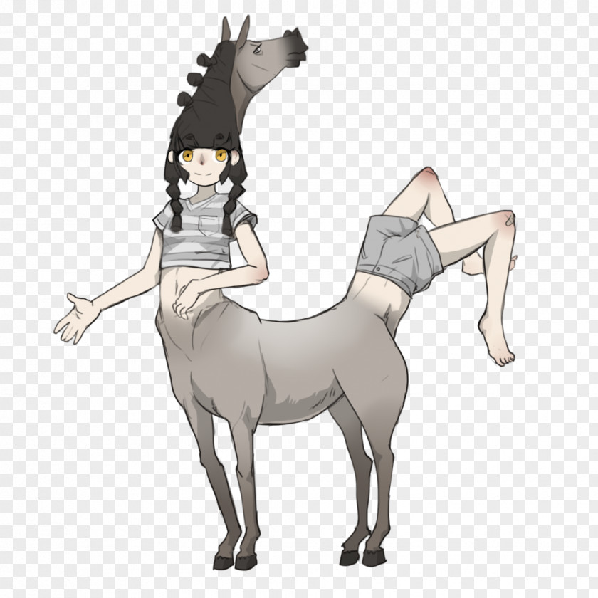 Centaur Mule DeviantArt Drawing PNG