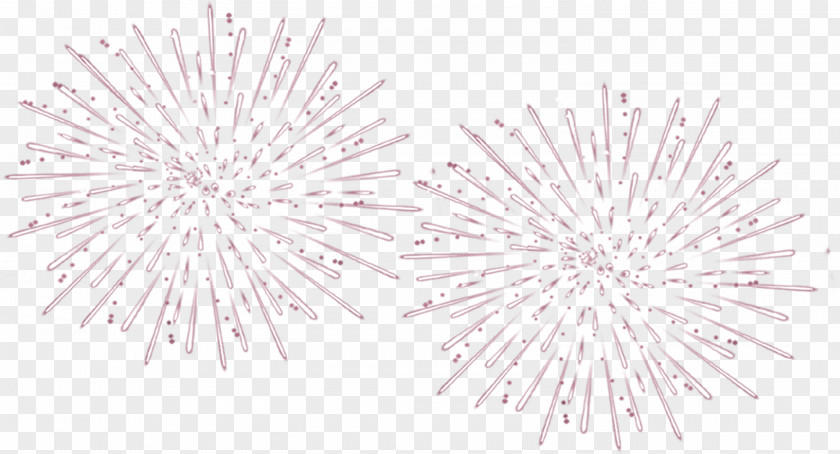 Fireworks White Black Lighting Pattern PNG