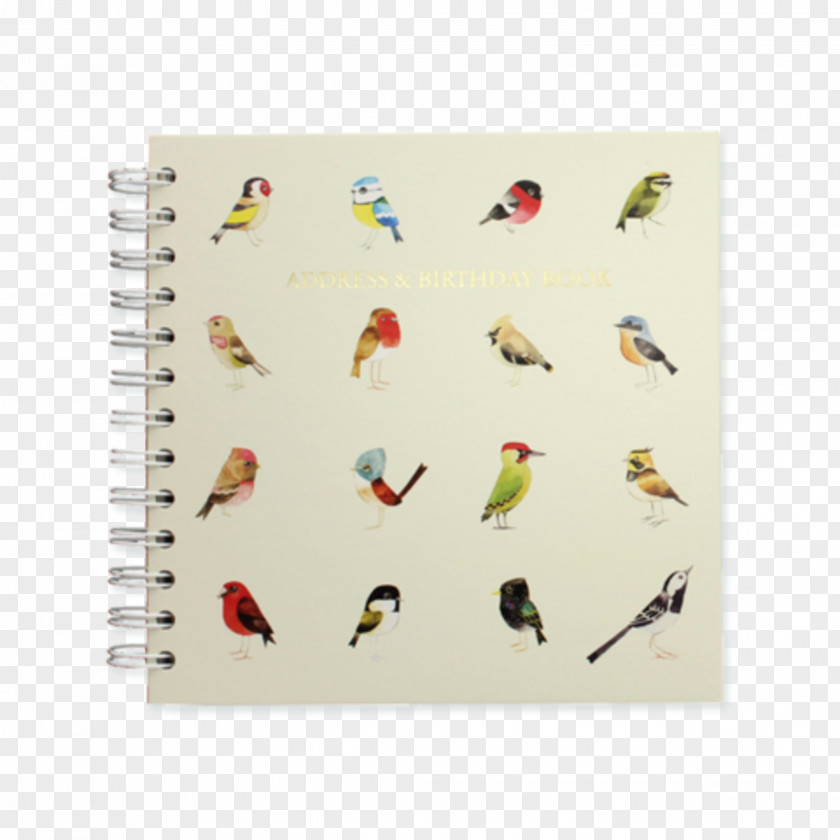 Notebook Paper Our Garden Birds PNG