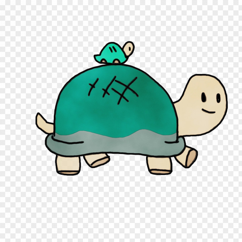 Sea Turtles Tortoise M Teal PNG