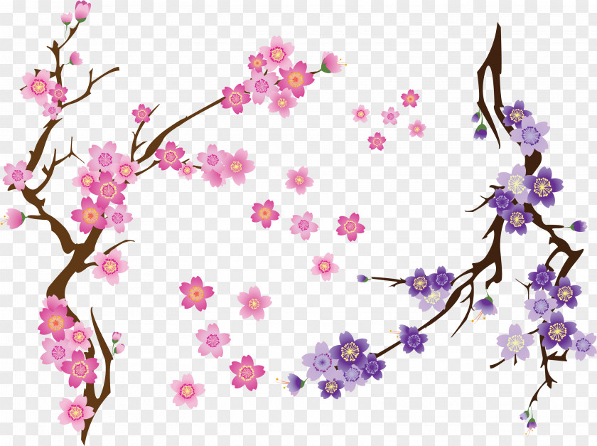 Cherry Blossom Clip Art Drawing PNG