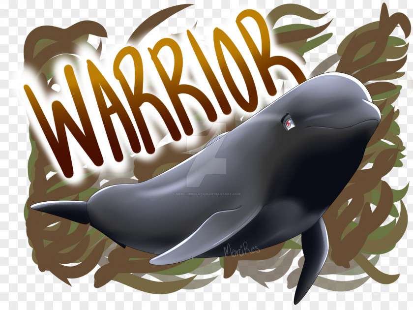 Dolphin Short-finned Pilot Whale Cetacea Killer Long-finned PNG