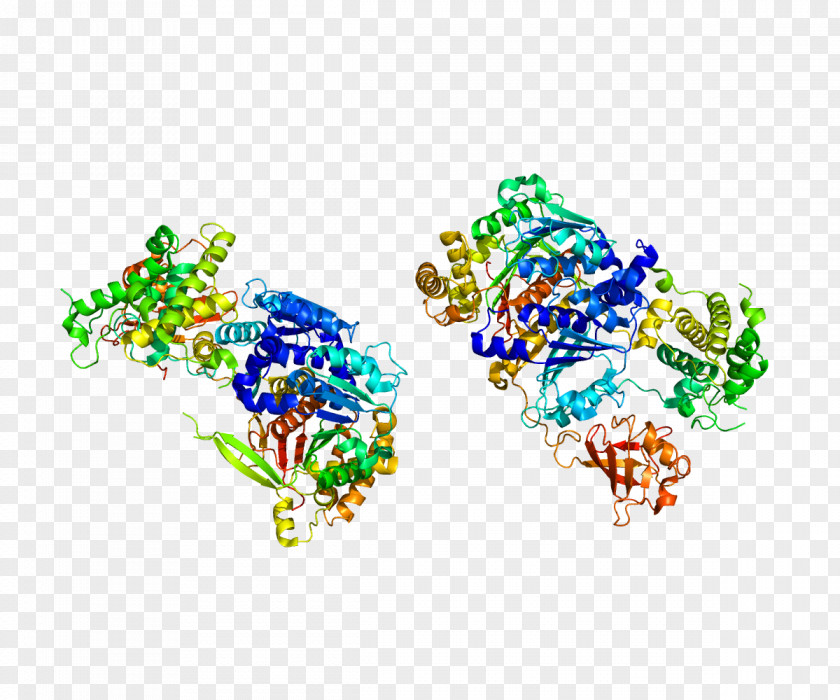 Enzyme UBA2 SUMO Protein Small Ubiquitin-related Modifier 1 PNG