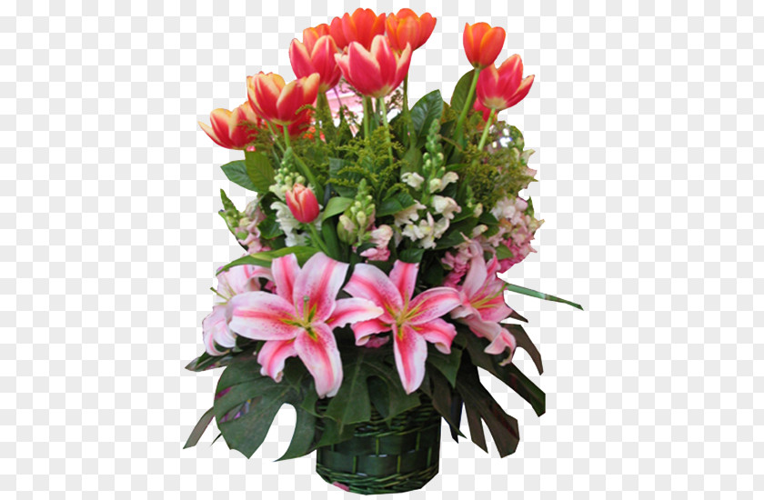 Tulips Pink Lily Tulip Flower Lilium PNG