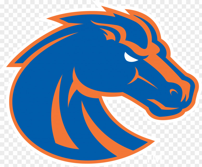 American Football Boise State Broncos Men's Basketball Albertsons Stadium Division I (NCAA) PNG