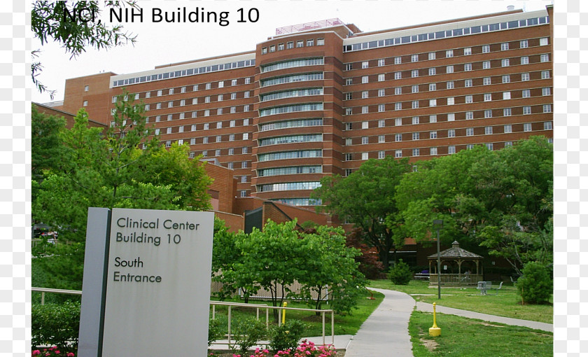 Health National Institutes Of Clinical Center NIH Medicine PNG