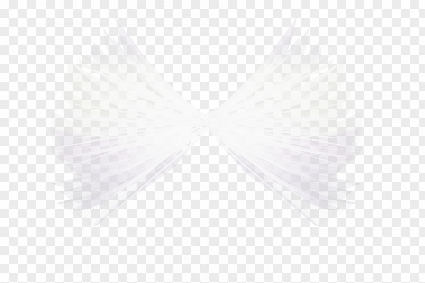 Wings Love White Fur Neck PNG