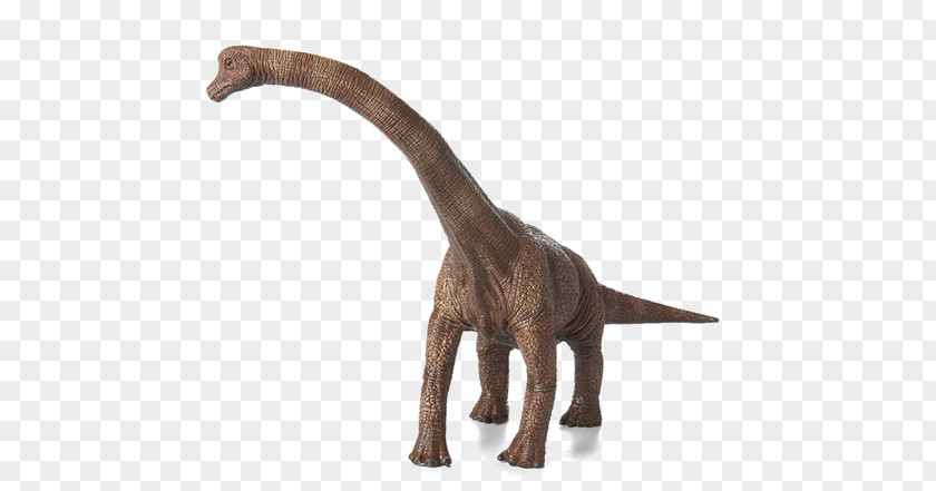 Dinosaur Brachiosaurus Image Transparency PNG