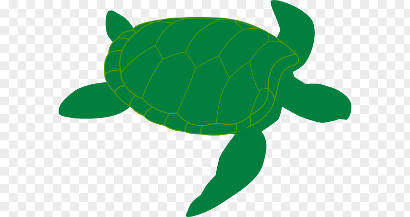 Sea Turtles Cliparts Green Turtle Clip Art PNG
