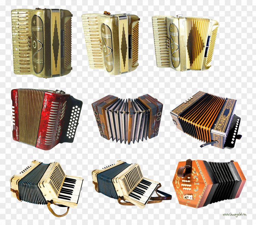 Accordion Diatonic Button Garmon Musical Instruments PNG