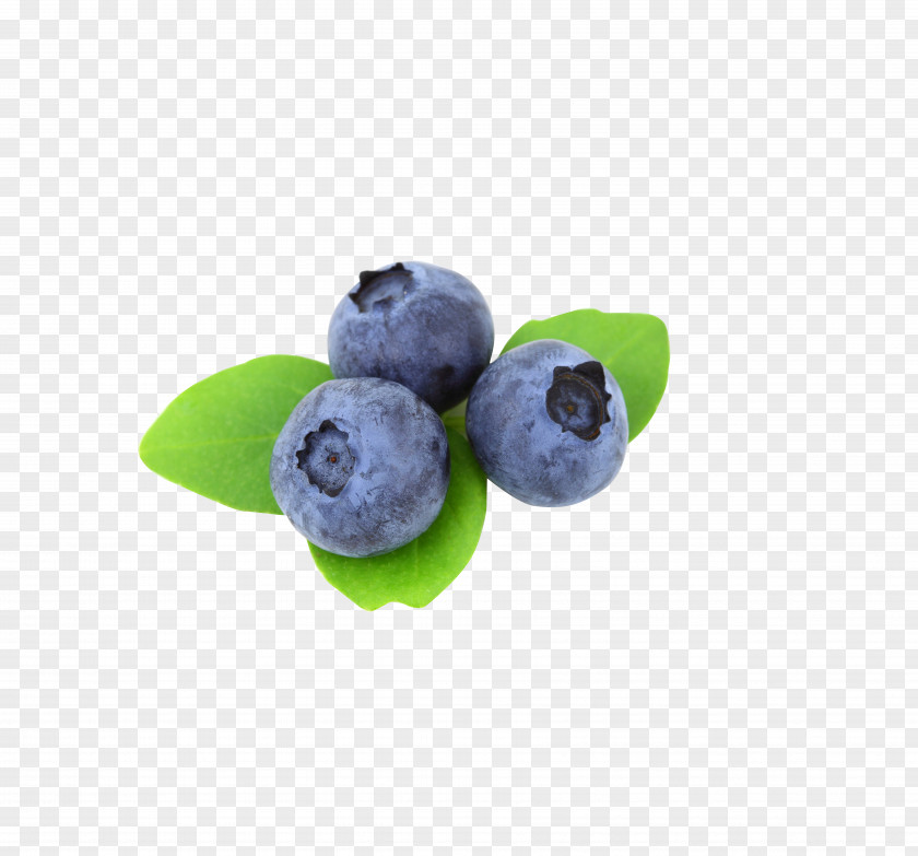 Blueberry Eye Protection Blackberry Fruit PNG