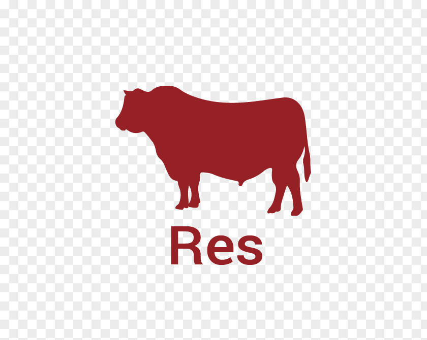 Carne De Res Logo Baka Taurine Cattle Spanish Fighting Bull PNG