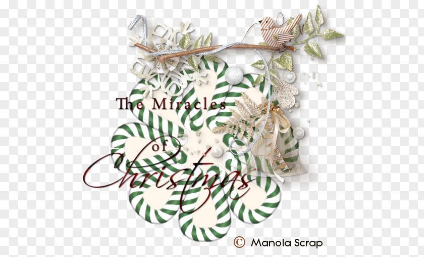 Christmas Ornament Pine Branching Family PNG