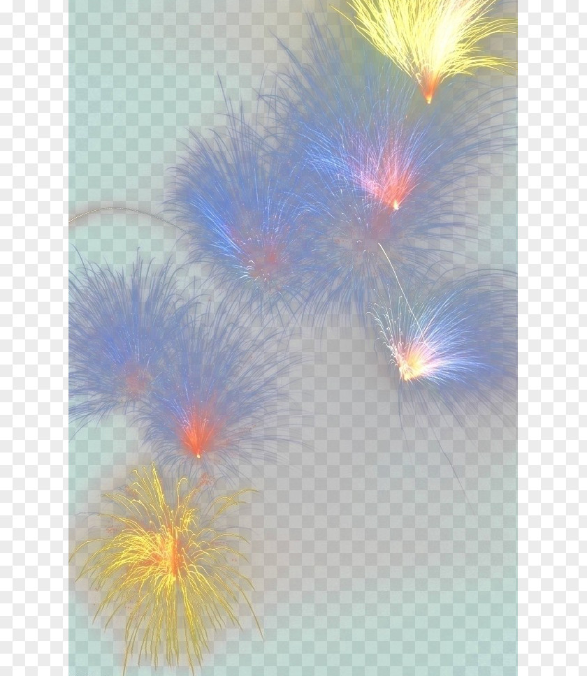 Fireworks Sky Space Purple Close-up Wallpaper PNG
