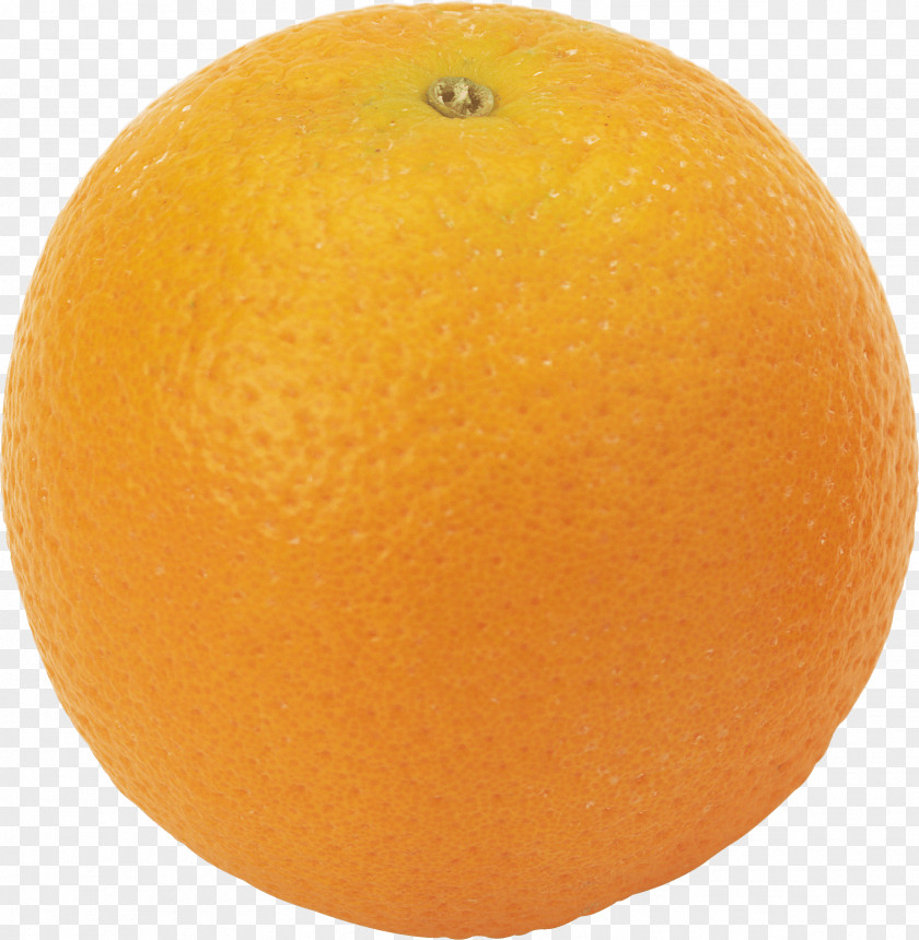 Orange Image Download Tangerine Clementine Blood Tangelo Grapefruit PNG