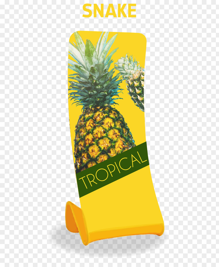 Pineapple Canvas Print Art Brand PNG