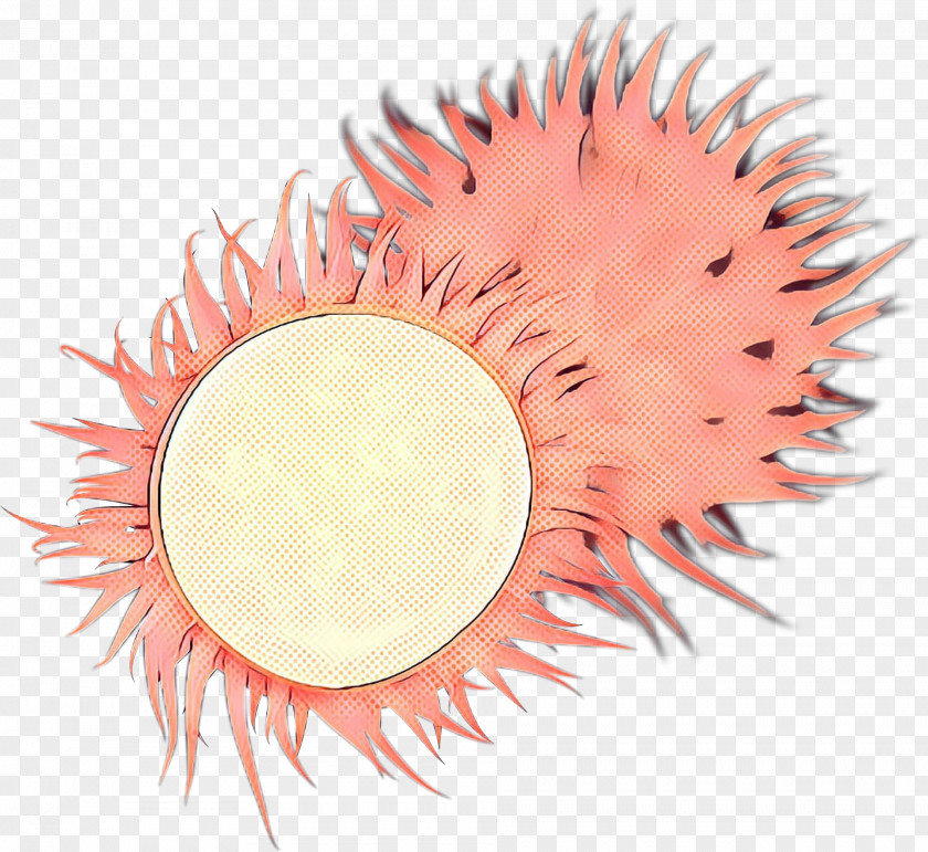 Rambutan Plant Family Cartoon PNG