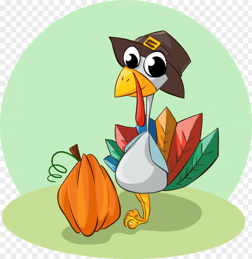 Turkey Bird Thanksgiving Dinner Trot El Dia De Accion Gracias PNG
