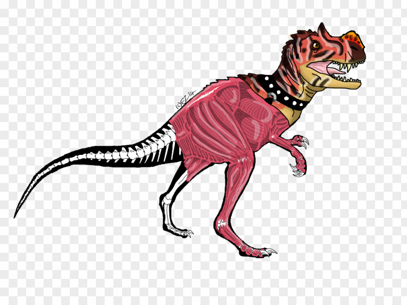 Drawing Tyrannosaurus Giganta Human Skeleton PNG