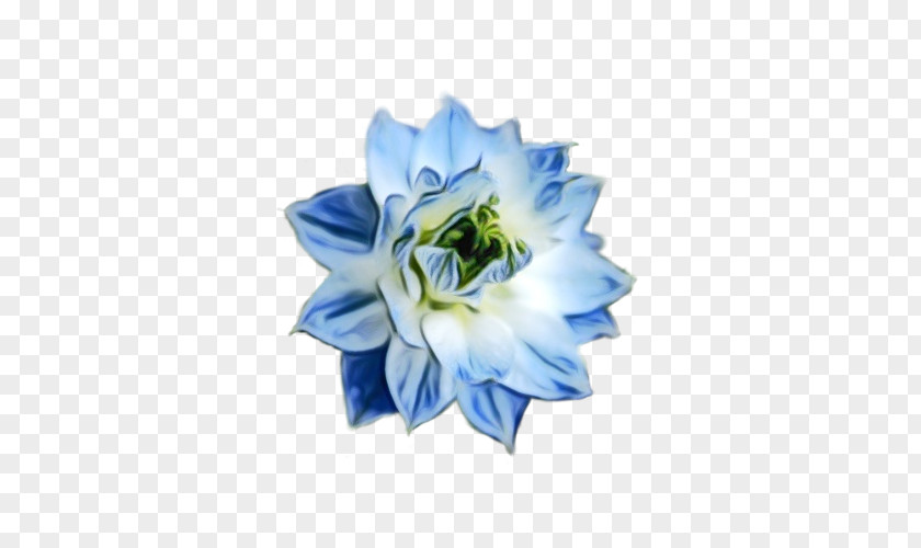 Gentiana Electric Blue Watercolor Flowers PNG