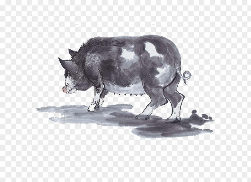 Hand Painted Wild Boar Domestic Pig Ink Wash Painting Chinese Zodiac PNG