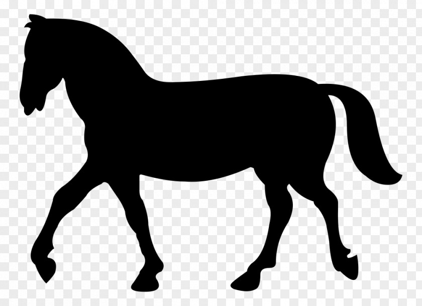 Horse Rearing Stallion Clip Art PNG