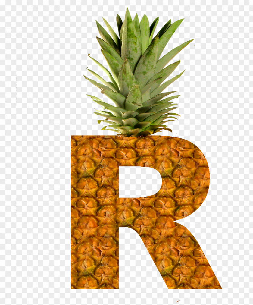 Pineapple Succade Pizza Food Fruit PNG