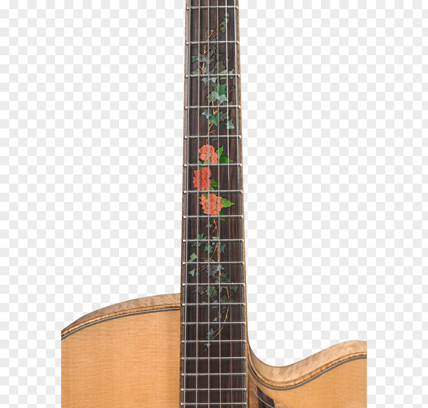 Bass Guitar Acoustic Tiple Ukulele Cuatro PNG