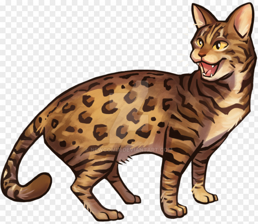 Bengal Poster Cat Toyger Ocicat California Spangled Sokoke PNG