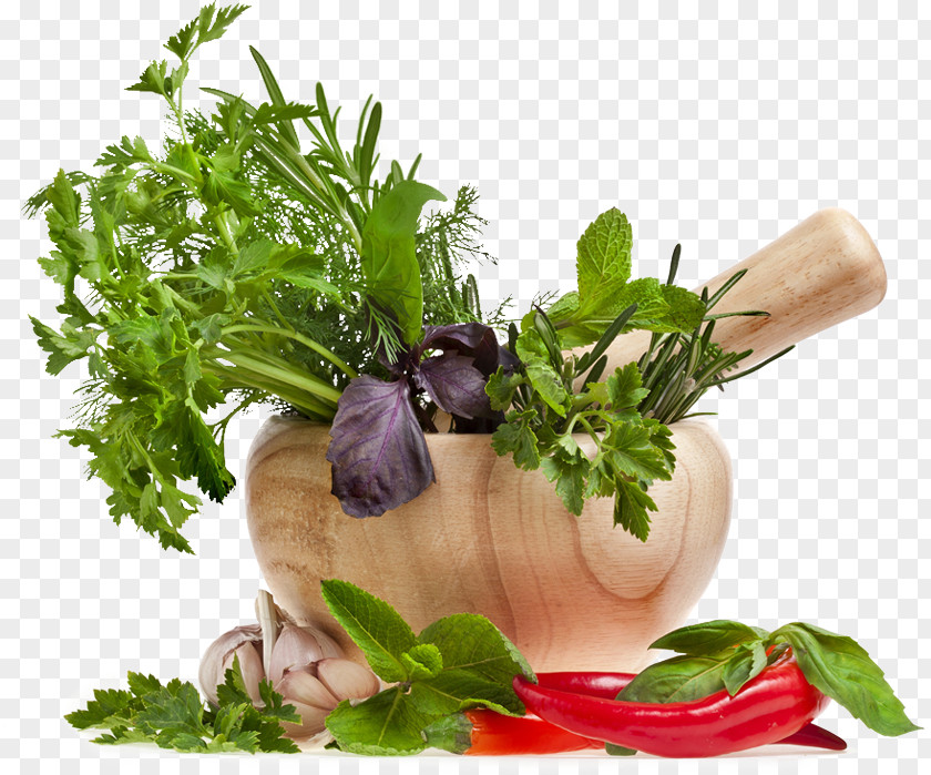 Chopped Onion Herb Vegetarian Cuisine Spice Restaurant Leaf Celery PNG