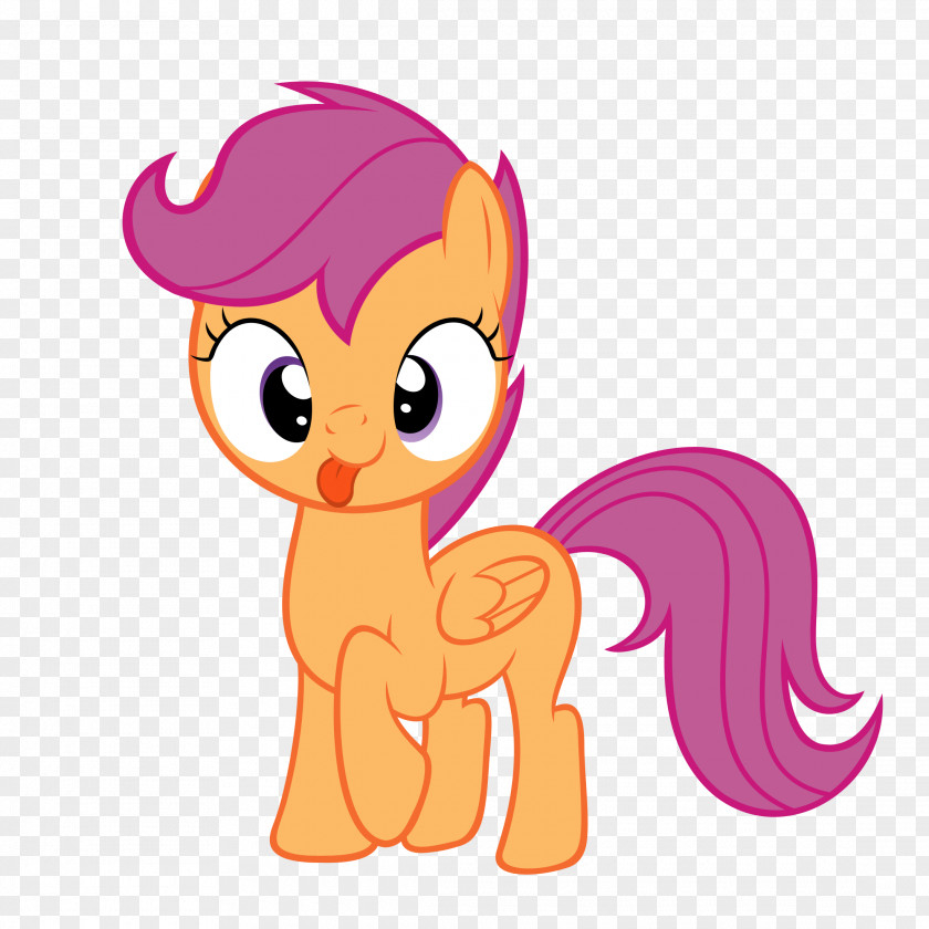 My Little Pony Scootaloo Twilight Sparkle Rainbow Dash Rarity PNG