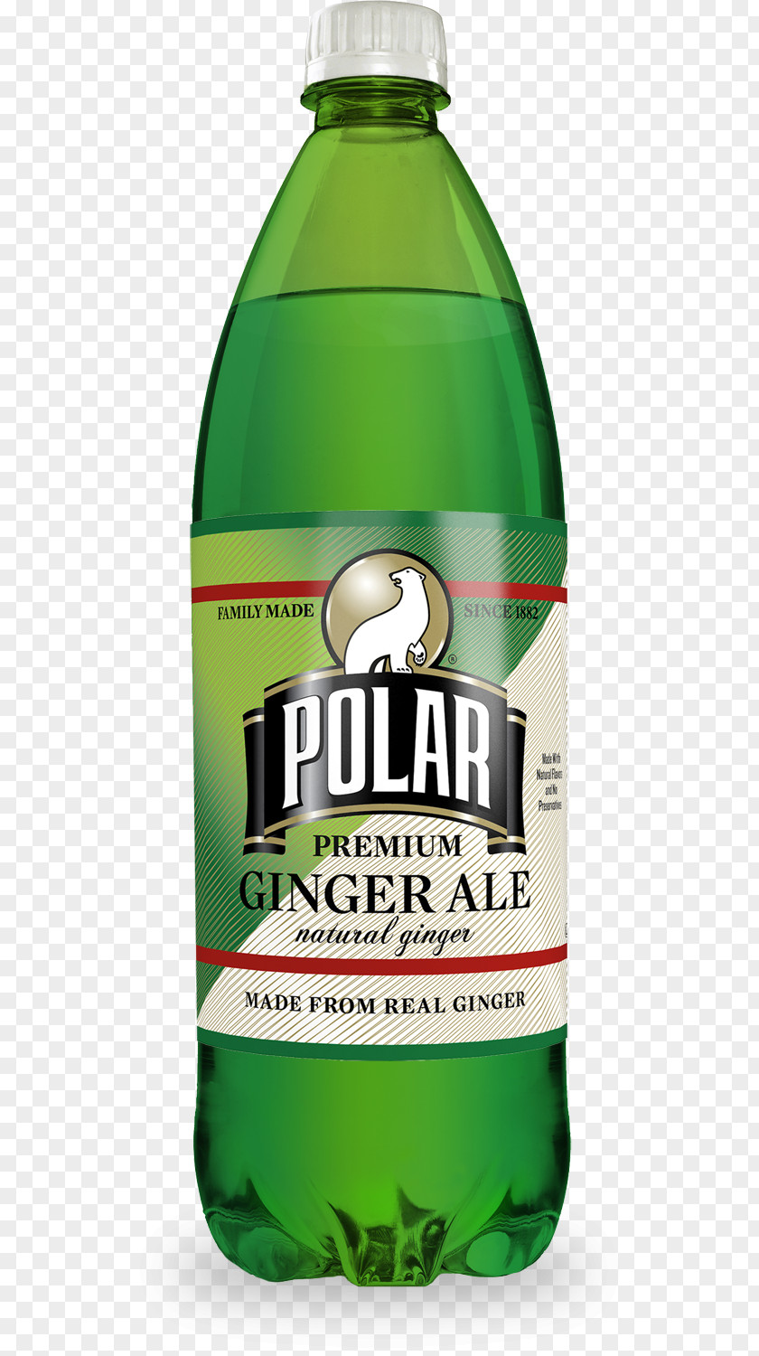 Ginger Water Ale Carbonated Tonic Fizzy Drinks Drink Mixer PNG